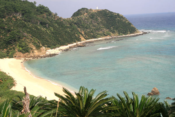 �����𑜓x�̃t���[�ʐ^�f�ނ��J��