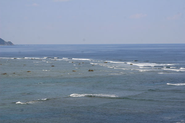 �����𑜓x�̃t���[�ʐ^�f�ނ��J��