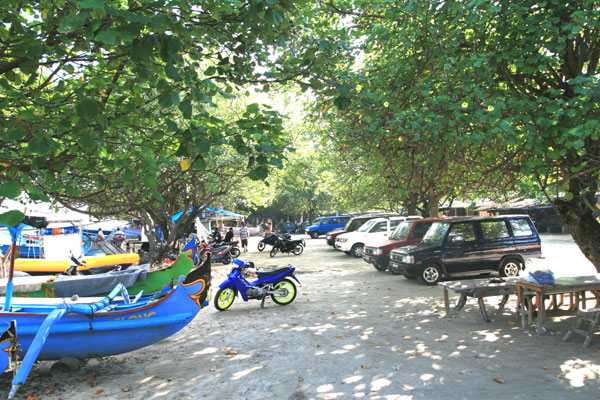 �����𑜓x�̃t���[�ʐ^�f�ނ��J��