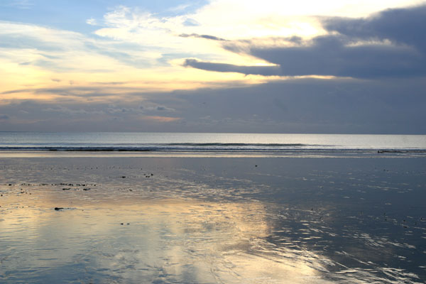 �����𑜓x�̃t���[�ʐ^�f�ނ��J��