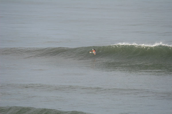 �����𑜓x�̃t���[�ʐ^�f�ނ��J��