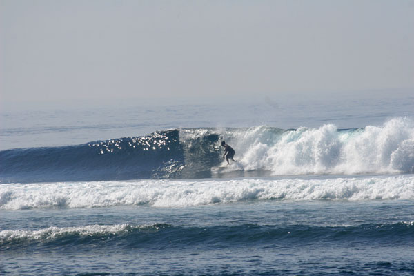 �����𑜓x�̃t���[�ʐ^�f�ނ��J��