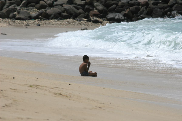 �����𑜓x�̃t���[�ʐ^�f�ނ��J��