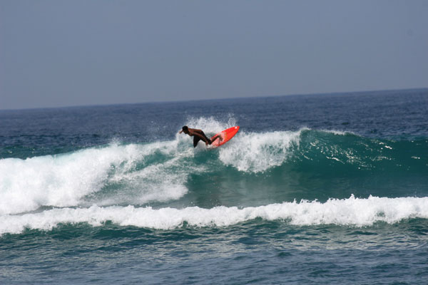 �����𑜓x�̃t���[�ʐ^�f�ނ��J��