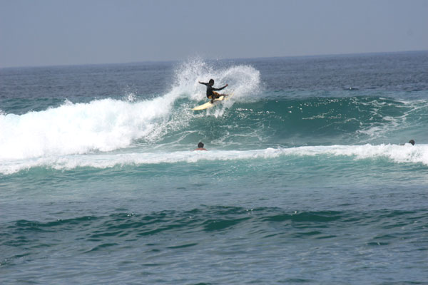 �����𑜓x�̃t���[�ʐ^�f�ނ��J��