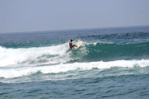 �����𑜓x�̃t���[�ʐ^�f�ނ��J��