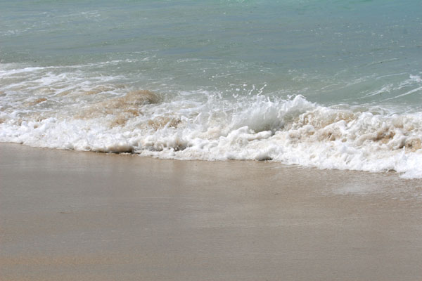 �����𑜓x�̃t���[�ʐ^�f�ނ��J��