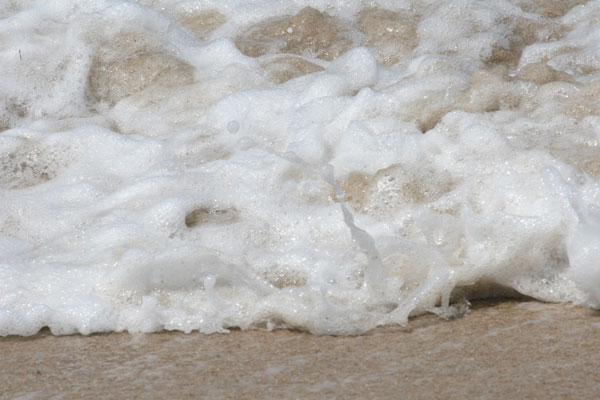 �����𑜓x�̃t���[�ʐ^�f�ނ��J��