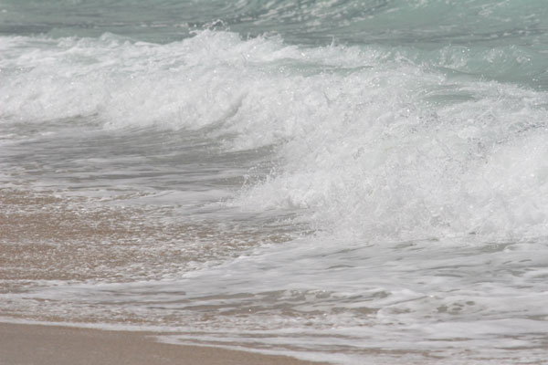 �����𑜓x�̃t���[�ʐ^�f�ނ��J��