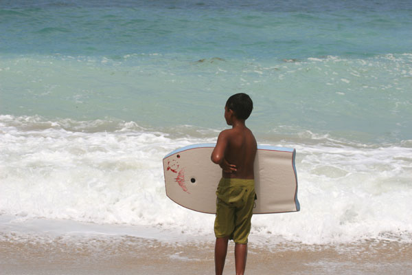 �����𑜓x�̃t���[�ʐ^�f�ނ��J��