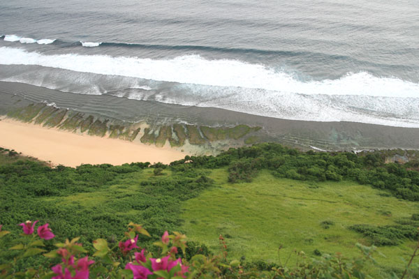 �����𑜓x�̃t���[�ʐ^�f�ނ��J��