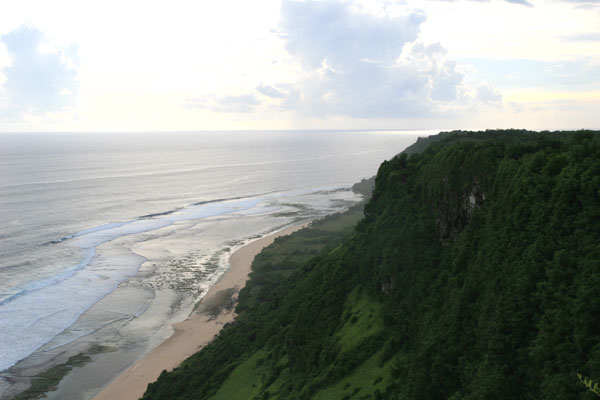 �����𑜓x�̃t���[�ʐ^�f�ނ��J��