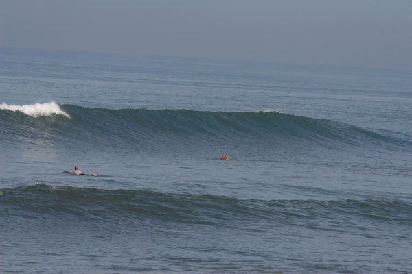 �����𑜓x�̃t���[�ʐ^�f�ނ��J��