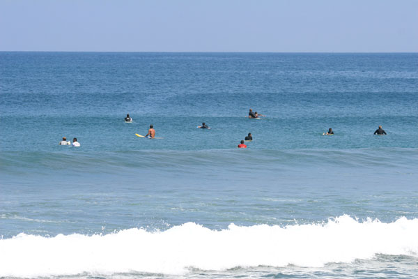 �����𑜓x�̃t���[�ʐ^�f�ނ��J��