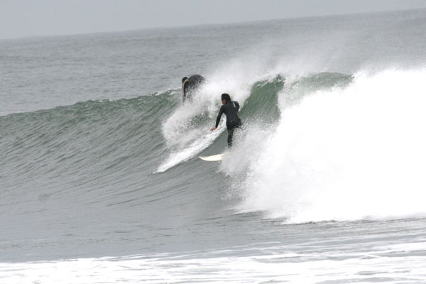 �����𑜓x�̃t���[�ʐ^�f�ނ��J��