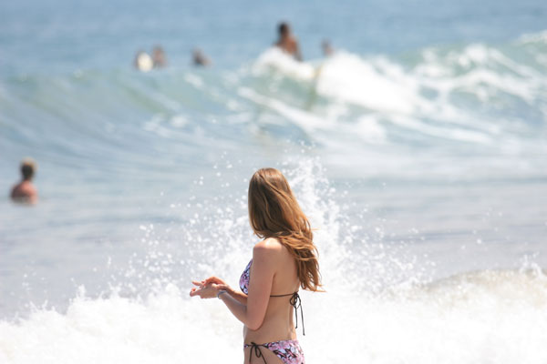 �����𑜓x�̃t���[�ʐ^�f�ނ��J��