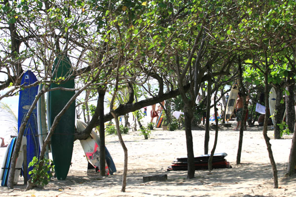 �����𑜓x�̃t���[�ʐ^�f�ނ��J��