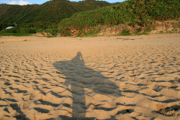 �����𑜓x�̃t���[�ʐ^�f�ނ��J��