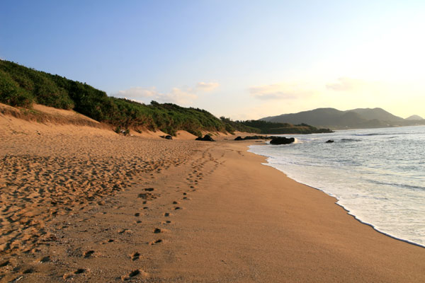 �����𑜓x�̃t���[�ʐ^�f�ނ��J��