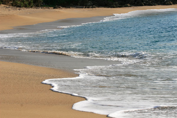 �����𑜓x�̃t���[�ʐ^�f�ނ��J��