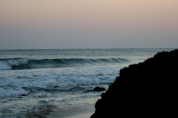 �����𑜓x�̃t���[�ʐ^�f�ނ��J��