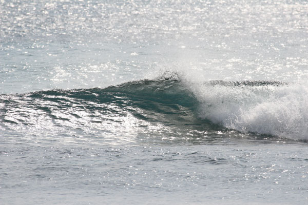 �����𑜓x�̃t���[�ʐ^�f�ނ��J��