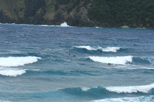 �����𑜓x�̃t���[�ʐ^�f�ނ��J��