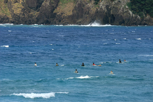 �����𑜓x�̃t���[�ʐ^�f�ނ��J��