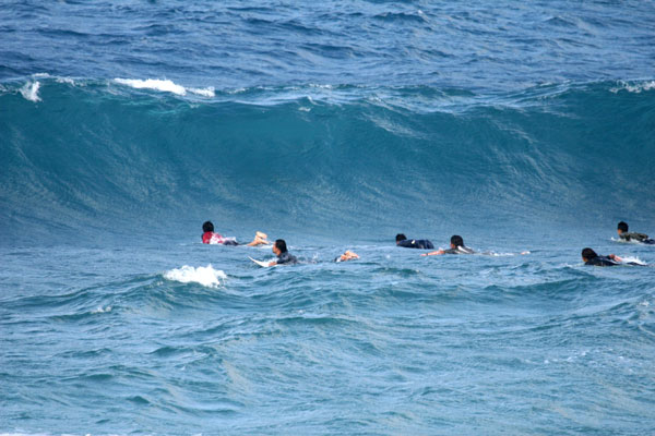 �����𑜓x�̃t���[�ʐ^�f�ނ��J��