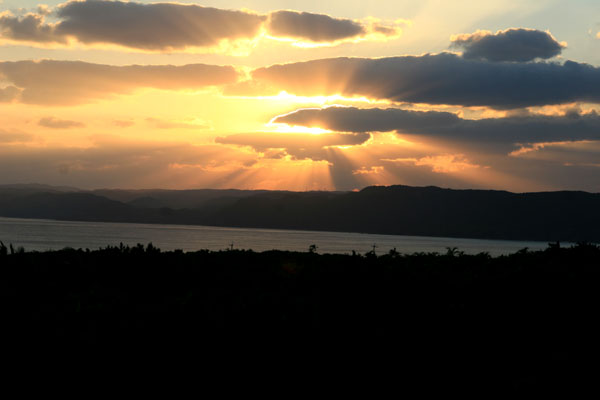 �����𑜓x�̃t���[�ʐ^�f�ނ��J��