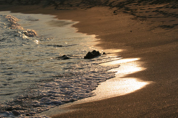 �����𑜓x�̃t���[�ʐ^�f�ނ��J��