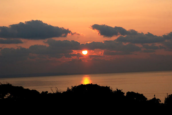 �����𑜓x�̃t���[�ʐ^�f�ނ��J��