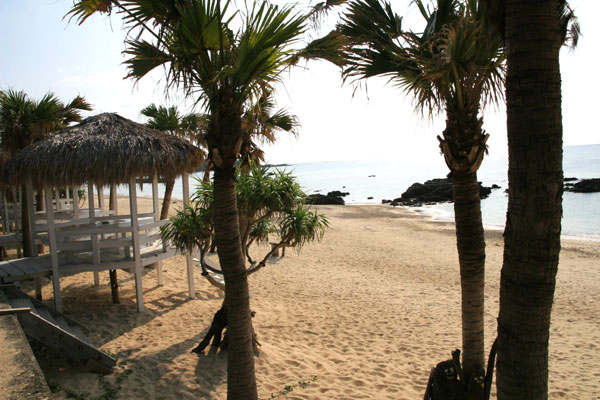 �����𑜓x�̃t���[�ʐ^�f�ނ��J��