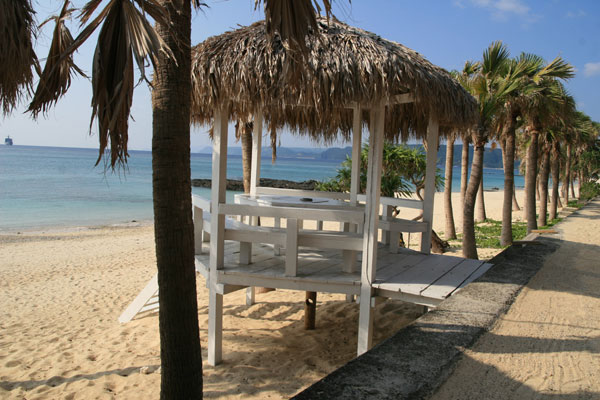 �����𑜓x�̃t���[�ʐ^�f�ނ��J��