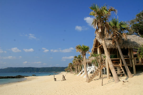 �����𑜓x�̃t���[�ʐ^�f�ނ��J��