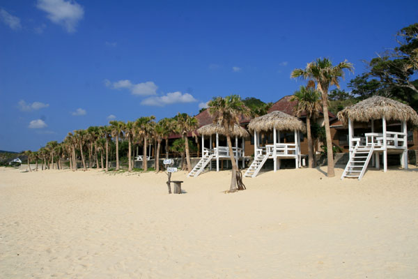 �����𑜓x�̃t���[�ʐ^�f�ނ��J��