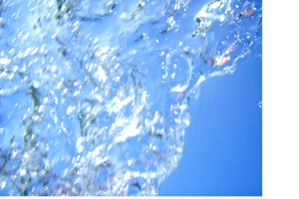 �����𑜓x�̃t���[�ʐ^�f�ނ��J��