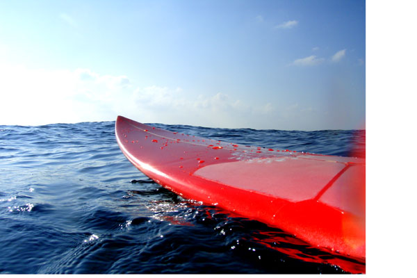 �����𑜓x�̃t���[�ʐ^�f�ނ��J��