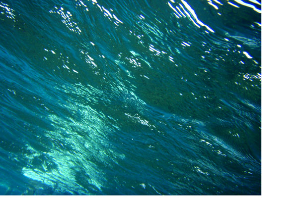 �����𑜓x�̃t���[�ʐ^�f�ނ��J��