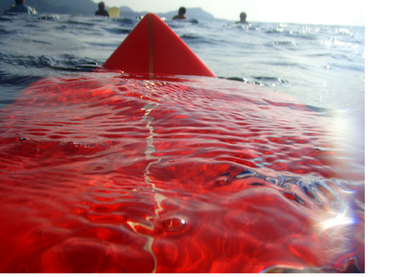 �����𑜓x�̃t���[�ʐ^�f�ނ��J��