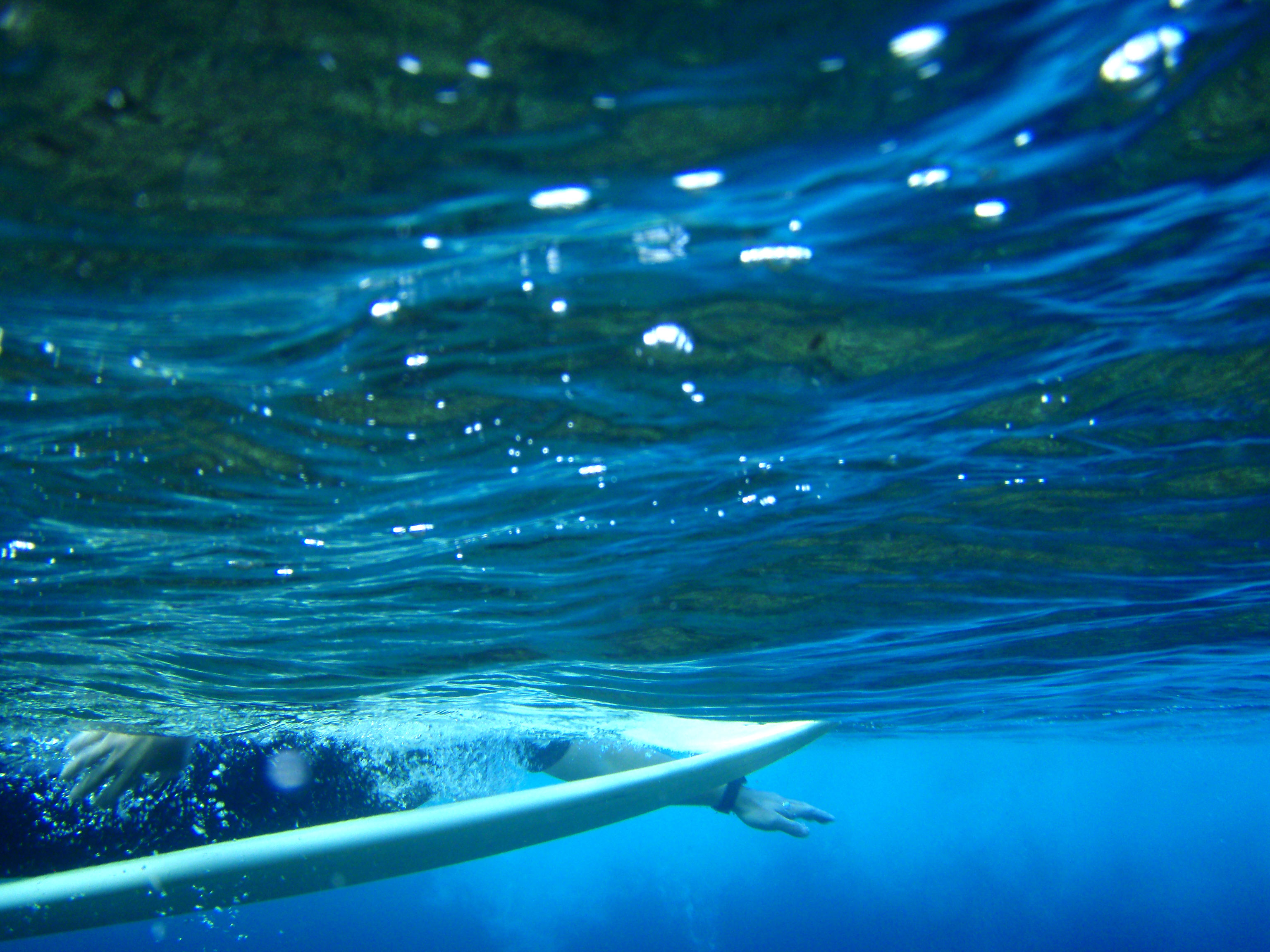 サーフィン 波 海 ビーチ専門 フリー写真素材 サーフィンレップス