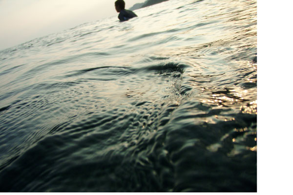 �����𑜓x�̃t���[�ʐ^�f�ނ��J��