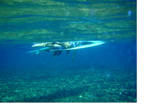 �����𑜓x�̃t���[�ʐ^�f�ނ��J��