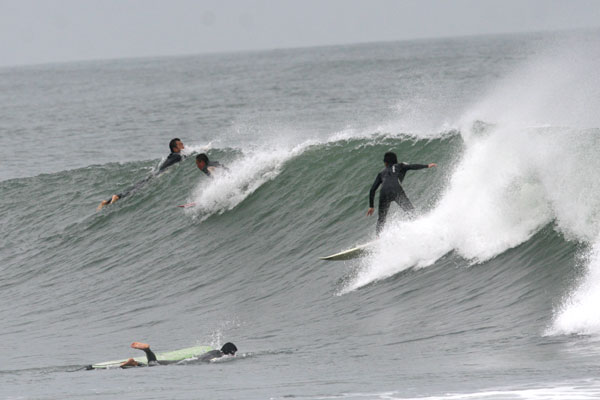 �����𑜓x�̃t���[�ʐ^�f�ނ��J��