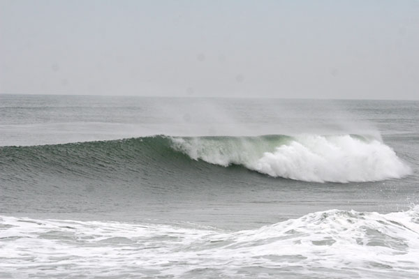 �����𑜓x�̃t���[�ʐ^�f�ނ��J��