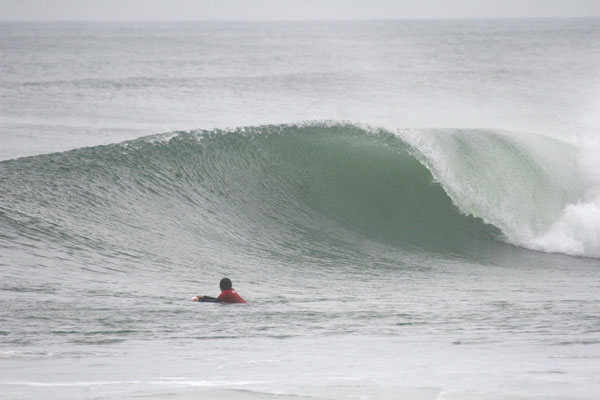 �����𑜓x�̃t���[�ʐ^�f�ނ��J��