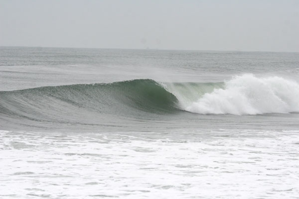 �����𑜓x�̃t���[�ʐ^�f�ނ��J��