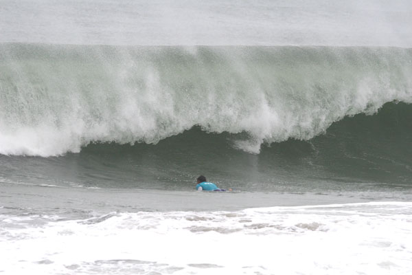 �����𑜓x�̃t���[�ʐ^�f�ނ��J��