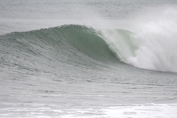 �����𑜓x�̃t���[�ʐ^�f�ނ��J��