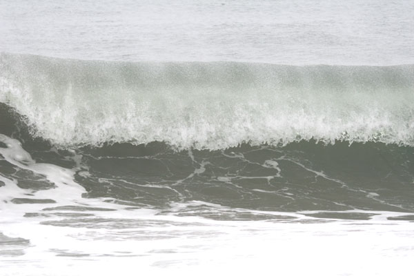 �����𑜓x�̃t���[�ʐ^�f�ނ��J��